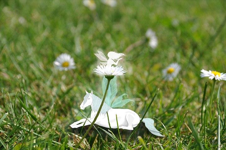 Billeder lavet/redigeret i Photoshop billede 5