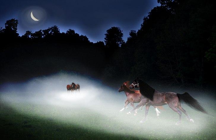 Billeder lavet/redigeret i Photoshop billede 6