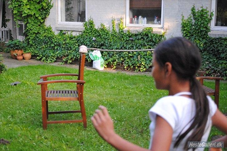 Mega sjove billeder billede 2