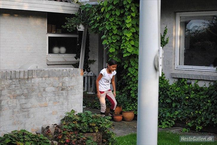 Mega sjove billeder billede 8