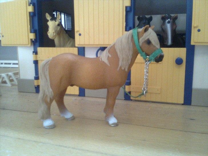 Rosengaarden's Schleich Heste - Navn: Rosengaarden's Firer Fox, Køn: Hingst, Race: Dartmoore, Mor: Mix's Minnie, Far: Mix's Mikey, Alder: 7 år, Kommentar: Firer er en lidt fræk men rigtig dejlig hingst. Han elsker at springe og er super god til det! billede 92