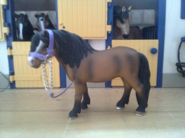 Rosengaarden's Schleich Heste - Navn: Rosengaarden's Foxy Lady, Køn: Hoppe, Race: Dartmoore, Mor: Lanka's Sprite, Far: Lanka's Coca Cola, Alder: 7 år, Kommentar: Lady er en dejlig hoppe men et meget sødt væsen. Hun har været til en masse dressur stævner og også vundet nogle præmier. billede 95