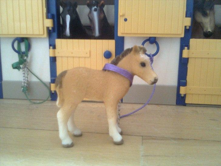 Rosengaarden's Schleich Heste - Navn: Rosengaarden's Lilltle Fox, Køn: Hoppe, Race: Dartmoore, Mor: RG's Foxy Lady, Far: RG's Firer Fox, Alder: ½ år, Kommentar: Fox er et sødt lille hoppeføl og hun minder meget om sin mor. Hun er lidt forsigtig men hun vil godt på eventyr. billede 96