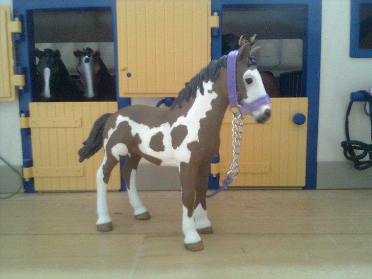 Rosengaarden's Schleich Heste - Navn: Rosengaarden's Hiawatha, Køn: Hoppe, Race: Pinto, Mor: RG's Wildrose, Far: RG's Zanzibar, Alder: 3 år, Kommentar: Hiawatha er en dejlig og frisk unghest. Hun er lige påbegyndt tilridning og er meget lærenem. billede 97