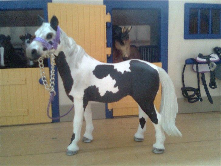 Rosengaarden's Schleich Heste - Navn: Rosengaarden's Wildrose, Køn: Hoppe, Race: Pinto, Mor: Flower Dream, Far: My name is Cowboy, Alder: 9 år, Kommentar: Wildrose er en smuk hoppe med et dejligt temparment. Hun kan godt lide at få en udfordring uanset slagsen. billede 98