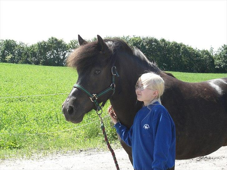 Meldgaard billede 21