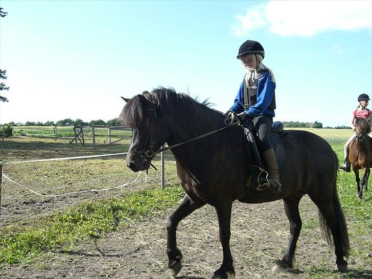 Meldgaard billede 27