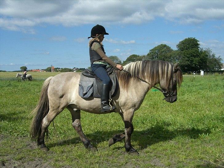 Meldgaard billede 28