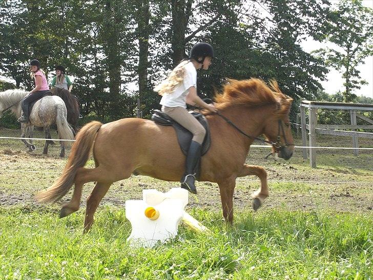 Meldgaard billede 29