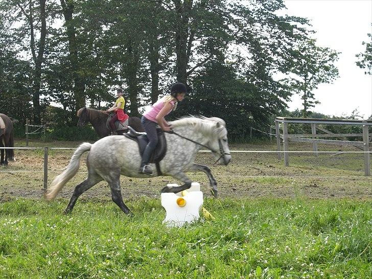 Meldgaard billede 30