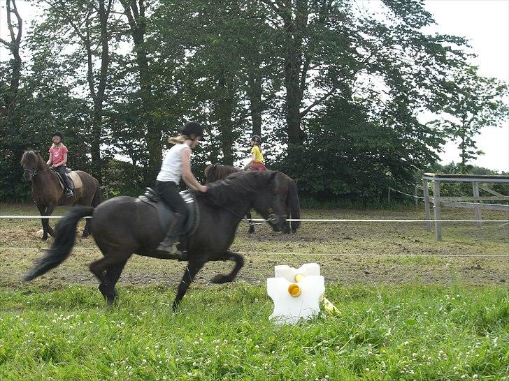 Meldgaard billede 31