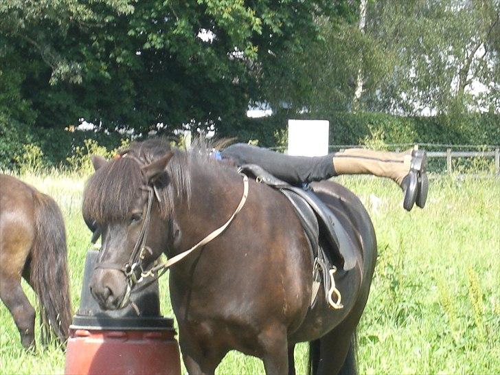 Meldgaard billede 32