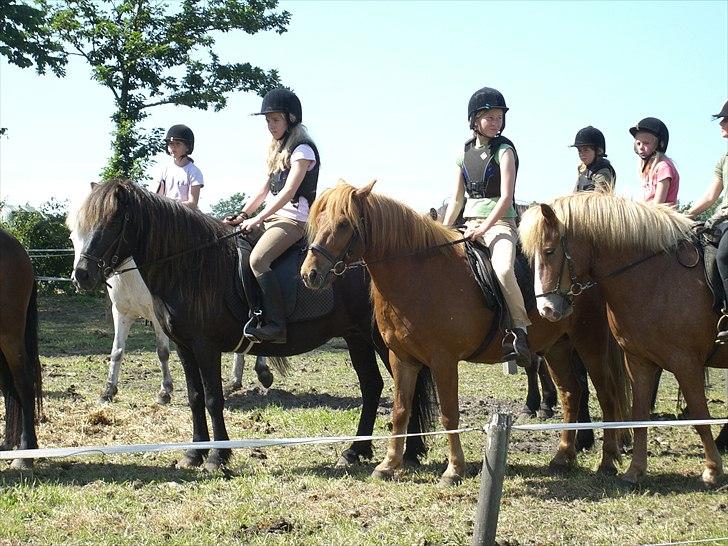Meldgaard - Sóley første til venstre billede 34