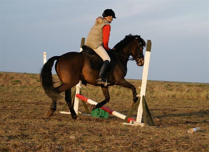 Stald Langdyssen, 7. februar 2008 billede 8