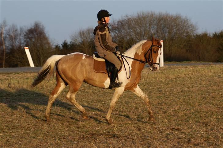 Stald Langdyssen, 7. februar 2008 billede 28