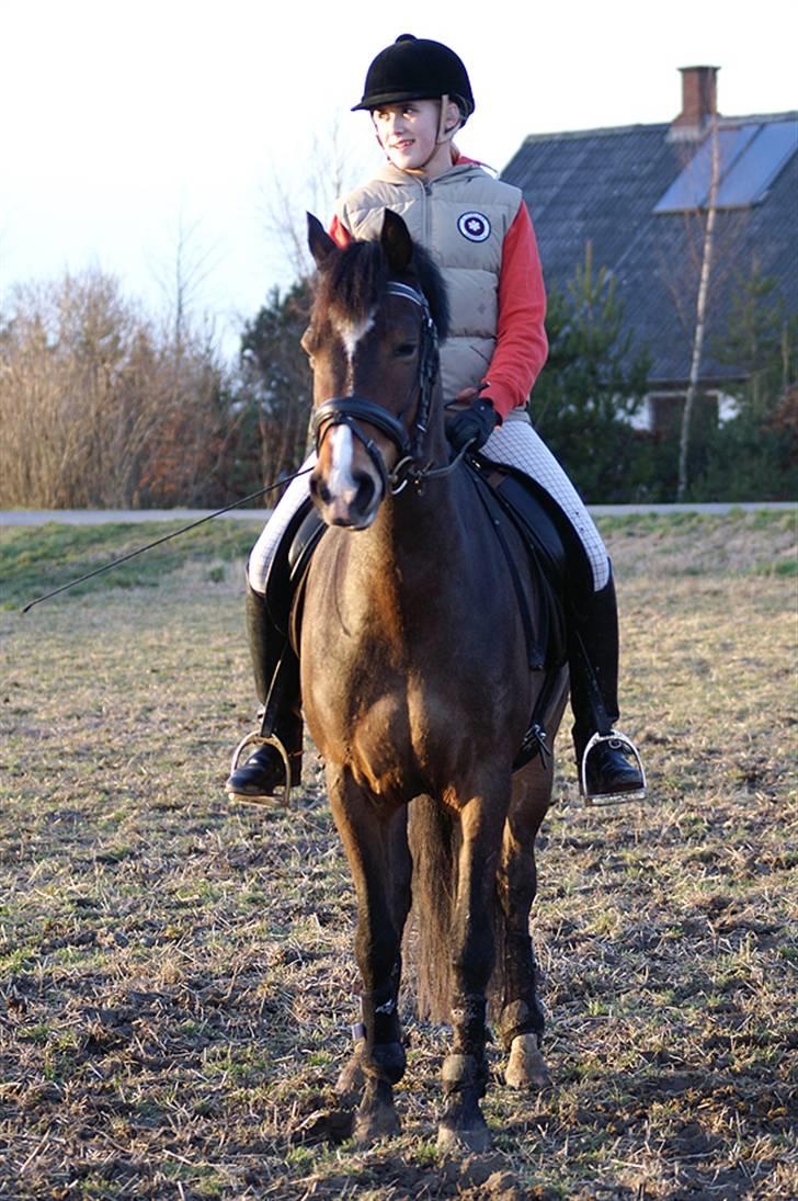 Stald Langdyssen, 7. februar 2008 billede 36