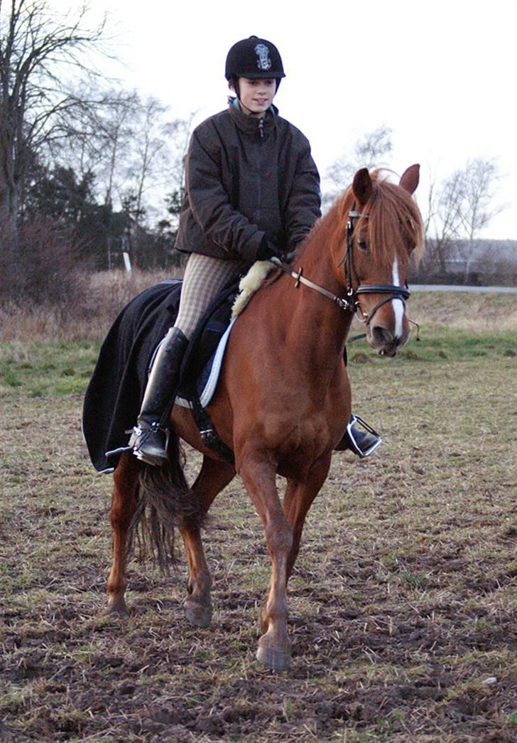Stald Langdyssen, 7. februar 2008 billede 47