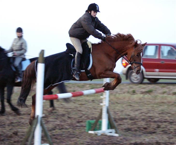 Stald Langdyssen, 7. februar 2008 billede 50