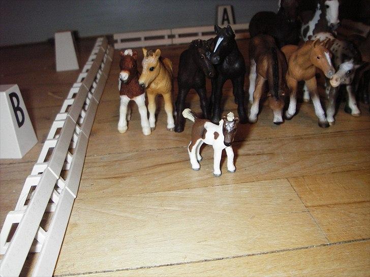 Åbent hus på Rosengaarden's Schleich Heste - - Little Prince - billede 45