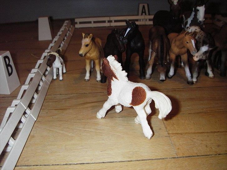 Åbent hus på Rosengaarden's Schleich Heste - -ll- billede 44