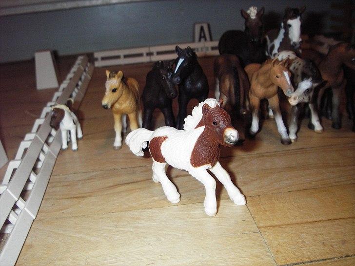 Åbent hus på Rosengaarden's Schleich Heste - - Lillen - billede 42