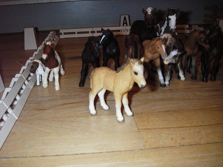 Åbent hus på Rosengaarden's Schleich Heste - - Little Fox - billede 39