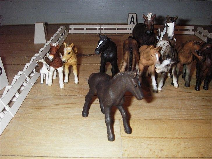 Åbent hus på Rosengaarden's Schleich Heste - - Zafir - billede 36