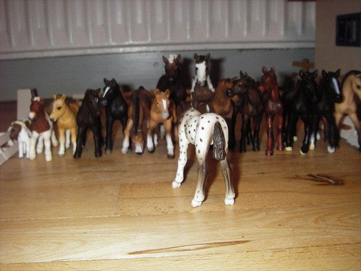 Åbent hus på Rosengaarden's Schleich Heste - -ll- billede 26