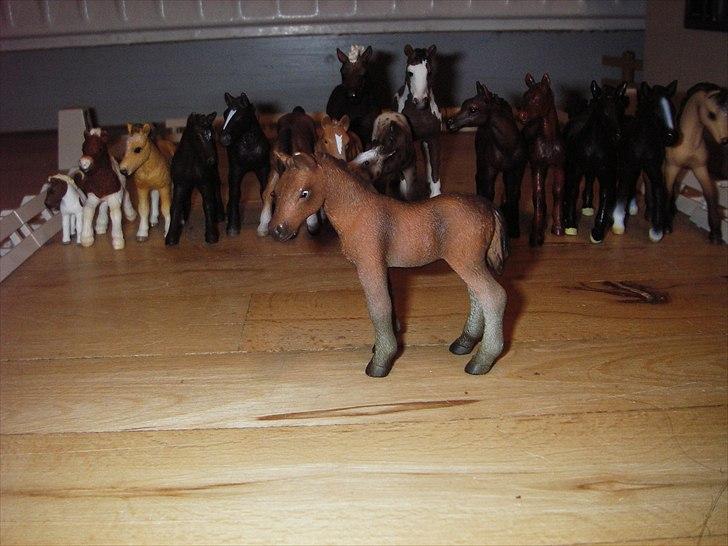 Åbent hus på Rosengaarden's Schleich Heste - -ll- billede 22