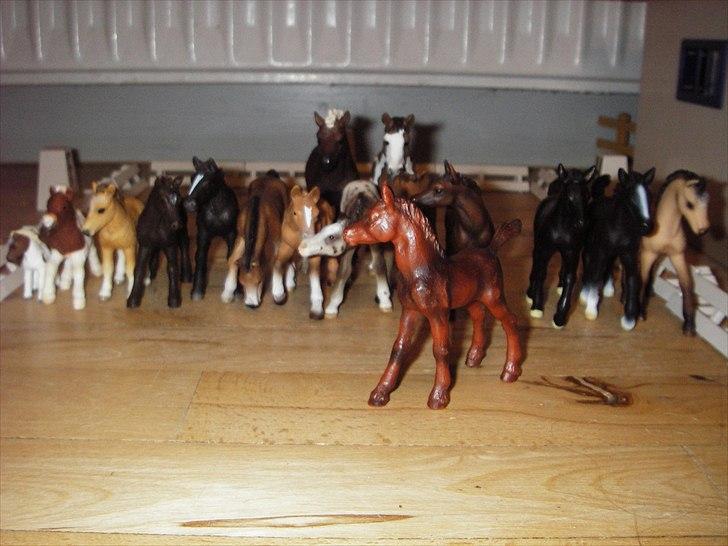 Åbent hus på Rosengaarden's Schleich Heste - - Bounty - billede 15