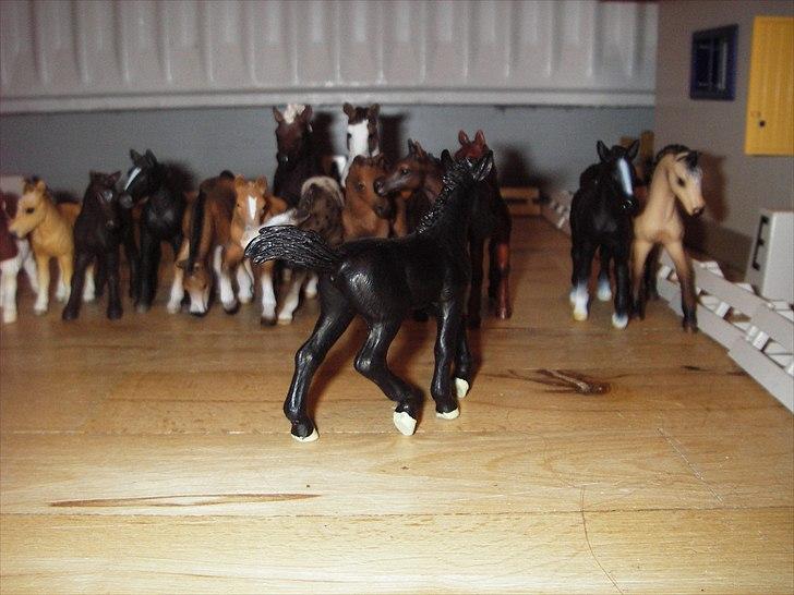 Åbent hus på Rosengaarden's Schleich Heste - -ll- billede 14