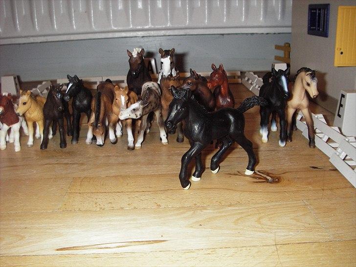 Åbent hus på Rosengaarden's Schleich Heste - - Bella - billede 12