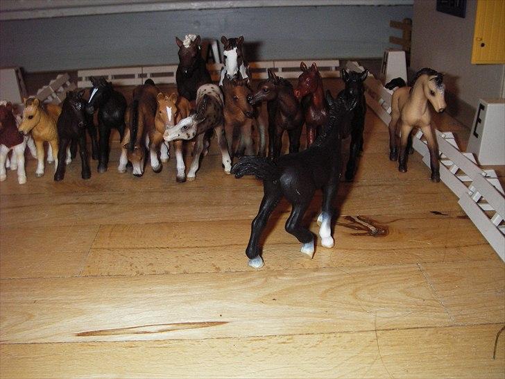 Åbent hus på Rosengaarden's Schleich Heste - -ll- billede 11