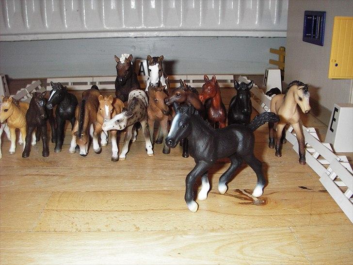 Åbent hus på Rosengaarden's Schleich Heste - - Bellisimo - billede 9