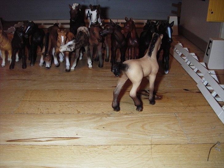 Åbent hus på Rosengaarden's Schleich Heste - -ll- billede 8