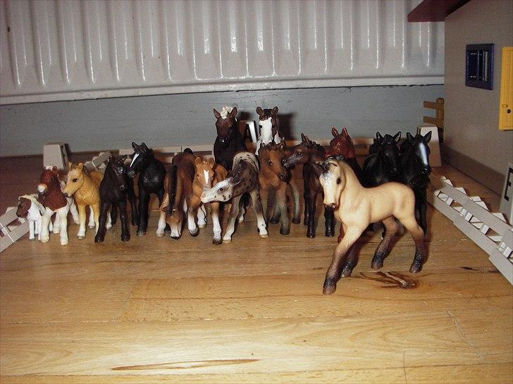 Åbent hus på Rosengaarden's Schleich Heste - - Lantino - billede 6