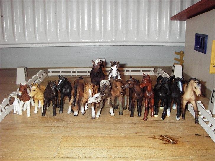 Åbent hus på Rosengaarden's Schleich Heste - Føl opvisning med alle vores føl: - billede 5