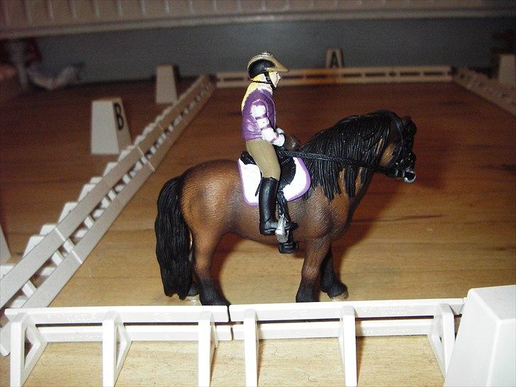 Åbent hus på Rosengaarden's Schleich Heste - - laver tilbagetrædning - billede 96