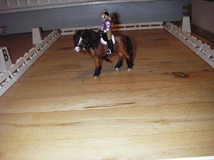 Åbent hus på Rosengaarden's Schleich Heste - - og en 10 meter volte mod B (i galop) - billede 87
