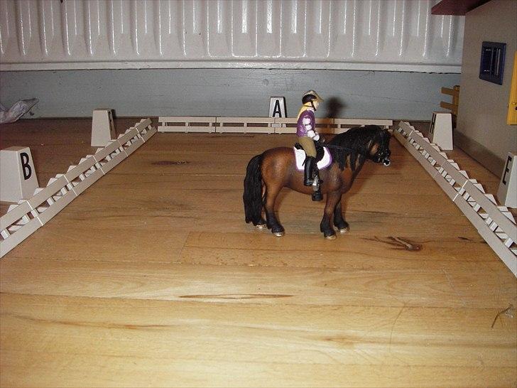 Åbent hus på Rosengaarden's Schleich Heste - - laver 10 meter volte mod  E (i galop) - billede 83