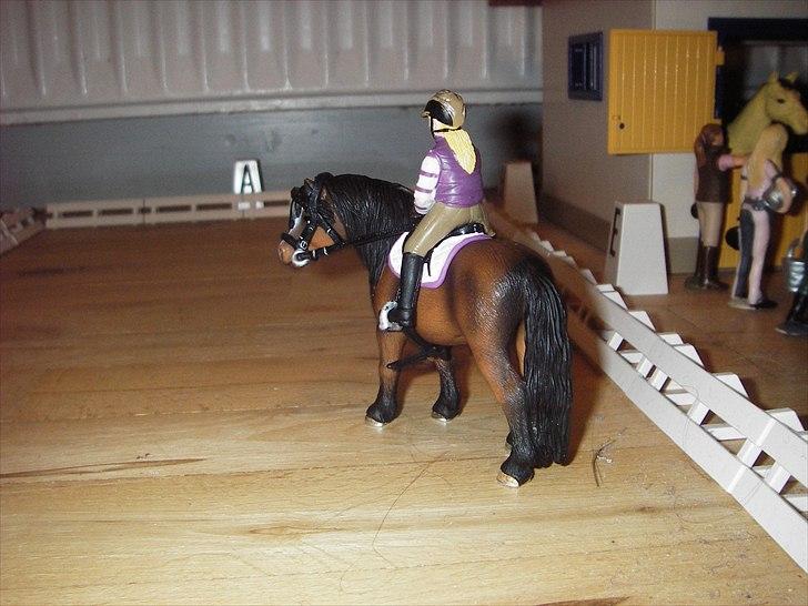 Åbent hus på Rosengaarden's Schleich Heste - - de vænder skråt igenem i kort trav - billede 63