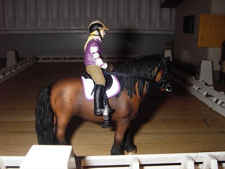 Åbent hus på Rosengaarden's Schleich Heste - Dressur opvisning med Katrine og Foxy Lady: Katrine og Foxy Lady begynder at skridte - billede 61