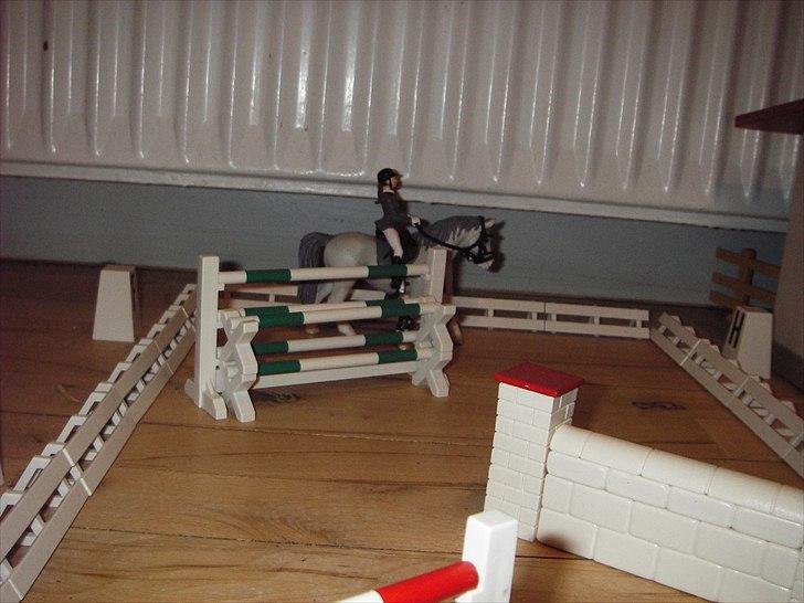 Åbent hus på Rosengaarden's Schleich Heste - - Susan laver overgang til skridt. billede 60