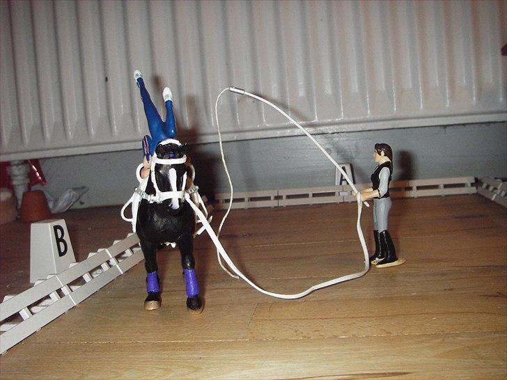 Åbent hus på Rosengaarden's Schleich Heste - Voltegerings opvisning med Petrine og Black Queen (og Karen): Karen longere Petrine som laver voltegering på Black Queen - billede 135