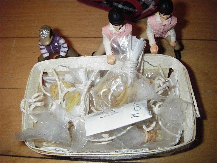 Åbent hus på Rosengaarden's Schleich Heste - - Sara fortæller om hvad hestene spiser. billede 134