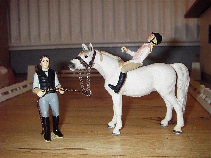 Åbent hus på Rosengaarden's Schleich Heste - Tilskuernde kan få taget billeder på Sif (vi har ikke alle billederne med her) - billede 2