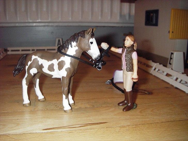 Åbent hus på Rosengaarden's Schleich Heste - Tilridnings opvisning med Sanna, Hiawatha og Katrine (det er 3. gang Hiawatha har rytter på ryggen): Sanne giver Hiawatha hovedtøj på - billede 145