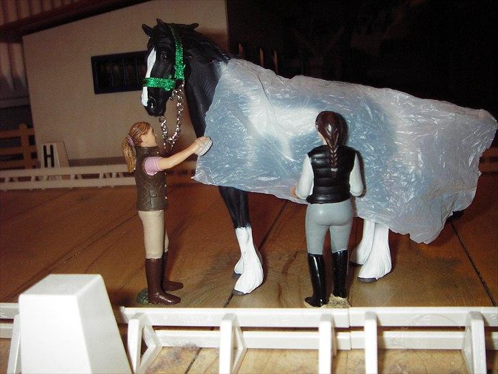 Åbent hus på Rosengaarden's Schleich Heste - - han lader hende også give ham det på ryggen. billede 181