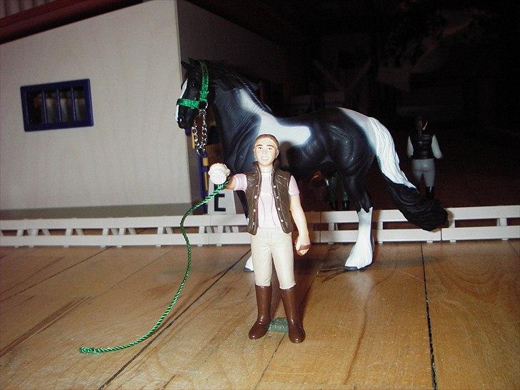 Åbent hus på Rosengaarden's Schleich Heste - - da Pegasus viser tegnende stiller Sanne sig med rygen til ham - billede 175