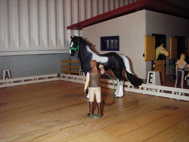 Åbent hus på Rosengaarden's Schleich Heste - Horsemanship opvisning med Pegasus og Sanne: Sanne for Pegasus til at galopere rundt om sig - billede 170